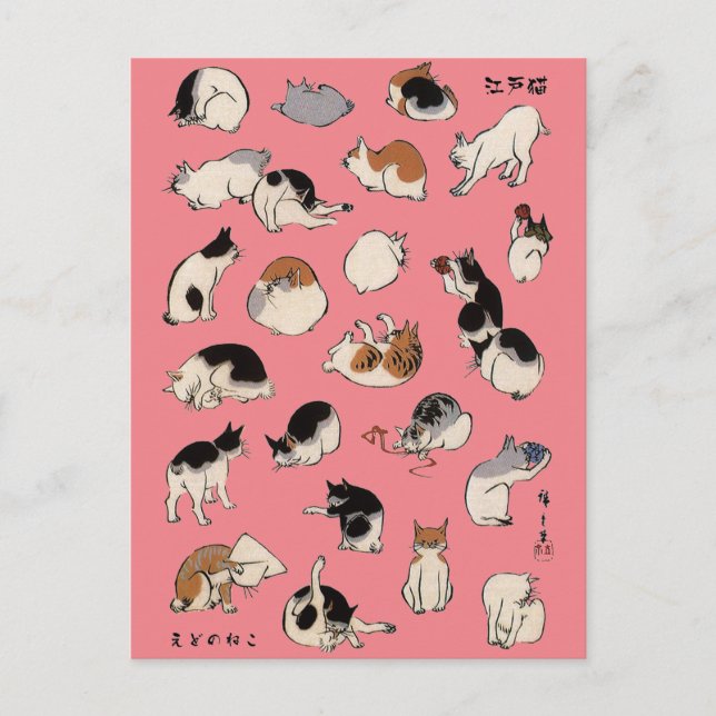 Japanese Cats (Customizable Background Color) Postcard (Front)