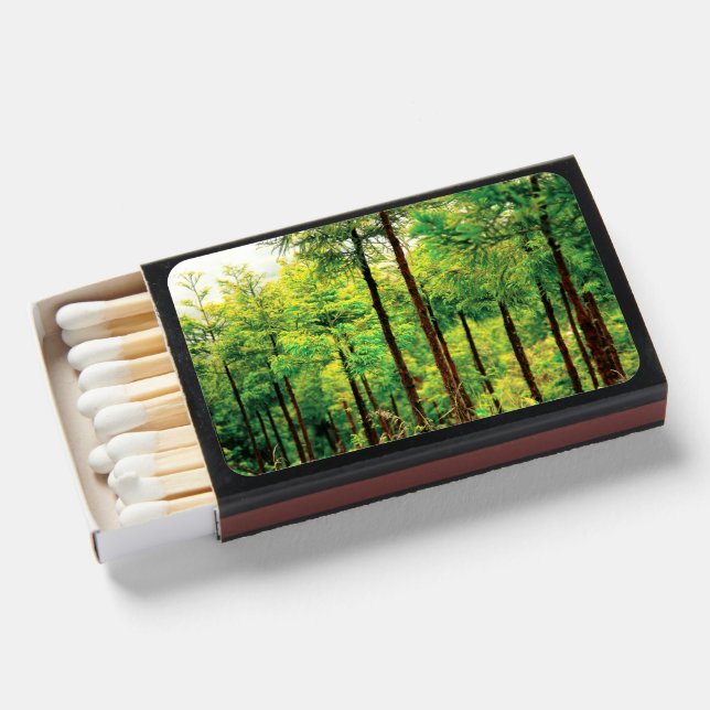 Japanese Cedar woods Matchboxes (Front Open)