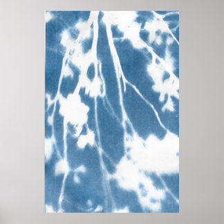 Japanese Cherry Bloom Cyanotype Poster