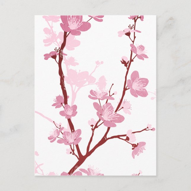 Japanese cherry blossom, gentle pink flower,girly, postcard (Front)