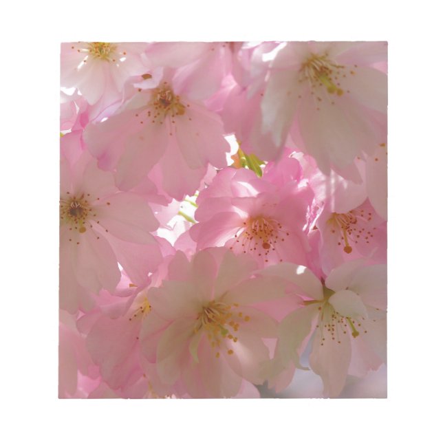 Japanese Cherry Blossom Notepad (Front)
