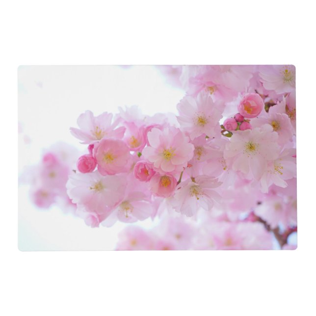 Japanese Cherry Blossom Placemat (Front)