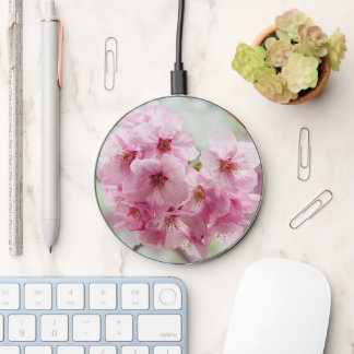 Japanese Cherry Blossom, Spring Flower Wireless Charger
