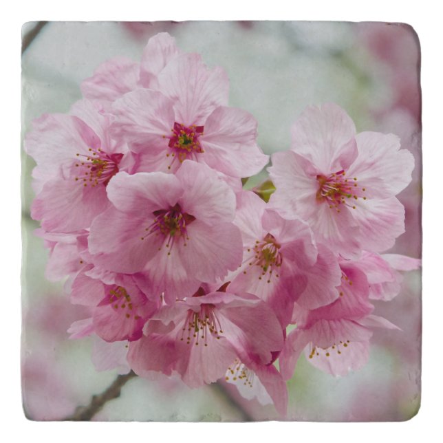 Japanese Cherry Blossom Trivet (Front)