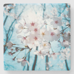 Japanese Cherry Blossom Zen Stone Coaster