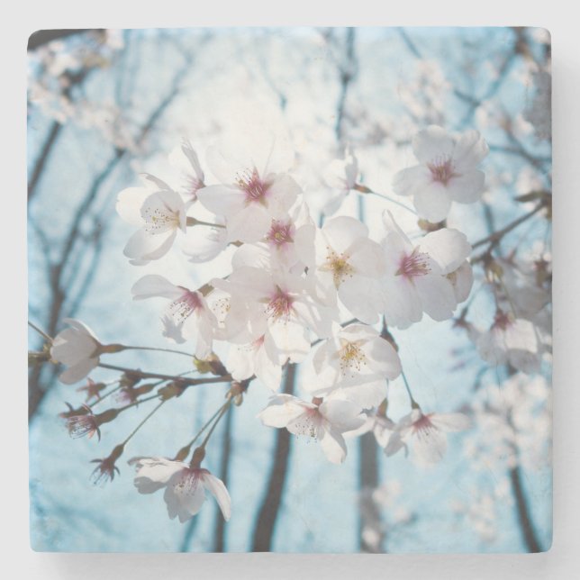 Japanese Cherry Blossom Zen Stone Coaster (Front)