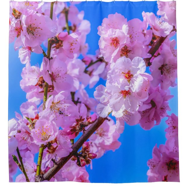 Japanese Cherry Blossoms 13    Shower Curtain (Front)