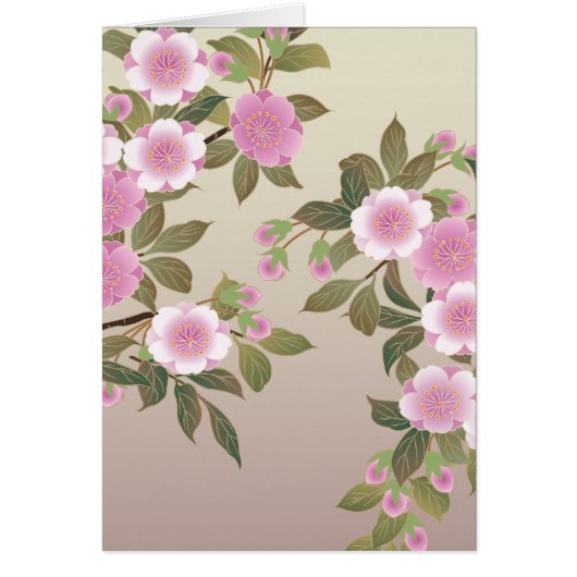 Japanese Cherry Blossoms Cards (Front)