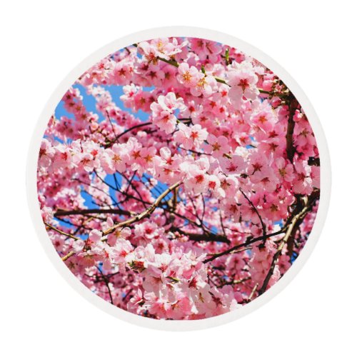 Japanese Cherry Blossoms  Edible Frosting Rounds