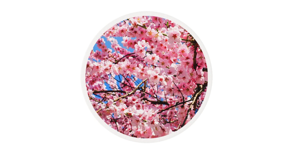 Japanese Cherry Blossoms Edible Frosting Rounds Zazzle
