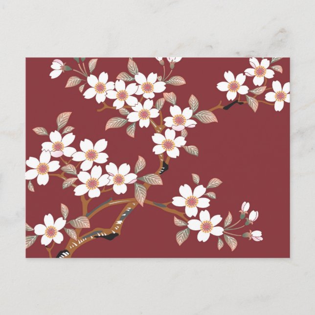 Japanese Cherry Blossoms Postcard (Front)