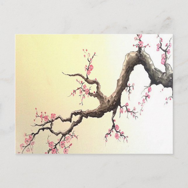 Japanese Cherry Blossoms Postcard (Front)