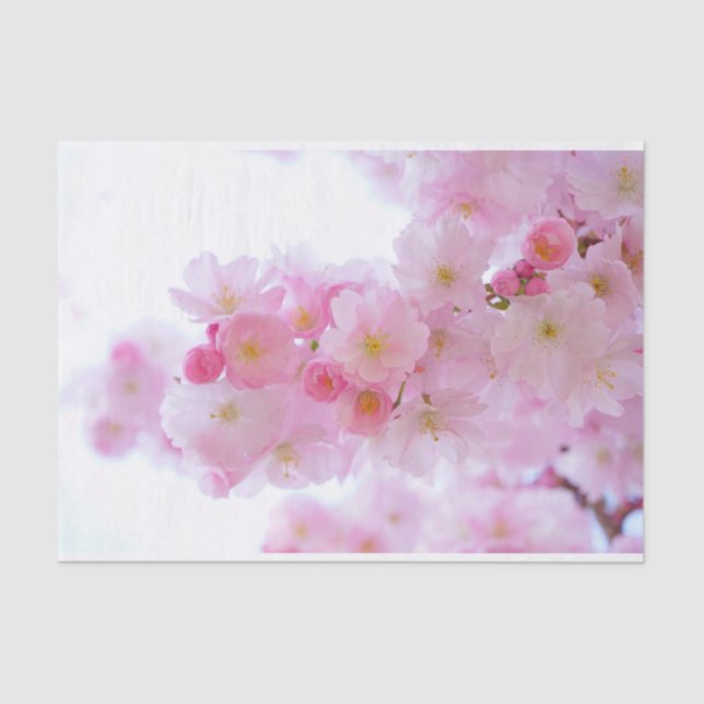 Japanese Cherry Blossoms Tissue Paper (Front)