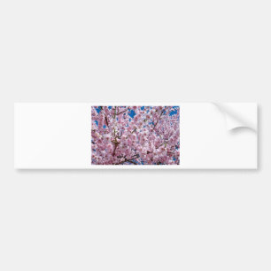 Japanese cherry Flower Bumper Sticker