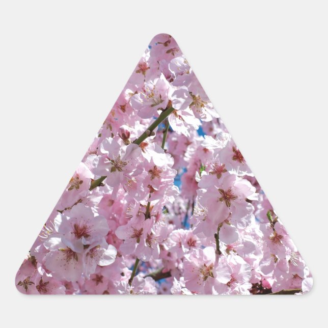 Japanese cherry Flower Triangle Sticker (Front)