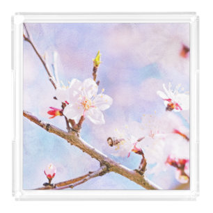 Japanese Cherry - Sakura In Bloom Acrylic Tray