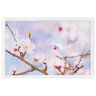 Japanese Cherry - Sakura In Bloom Acrylic Tray