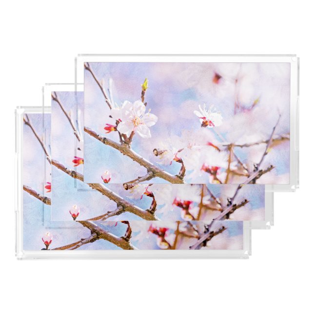 Japanese Cherry - Sakura In Bloom Acrylic Tray (Set)