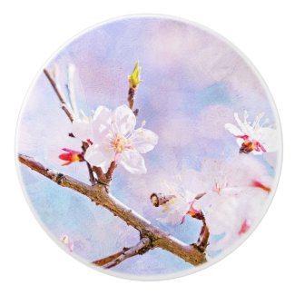 Japanese Cherry - Sakura In Bloom Ceramic Knob