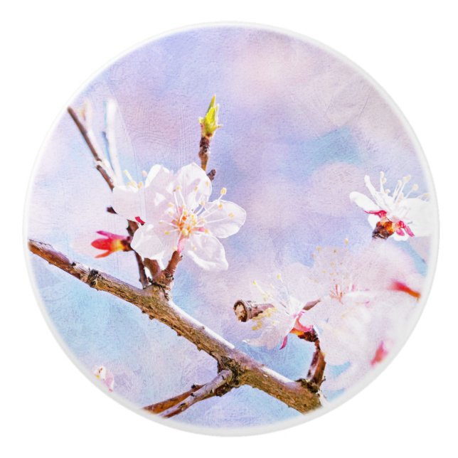 Japanese Cherry - Sakura In Bloom Ceramic Knob (Front)