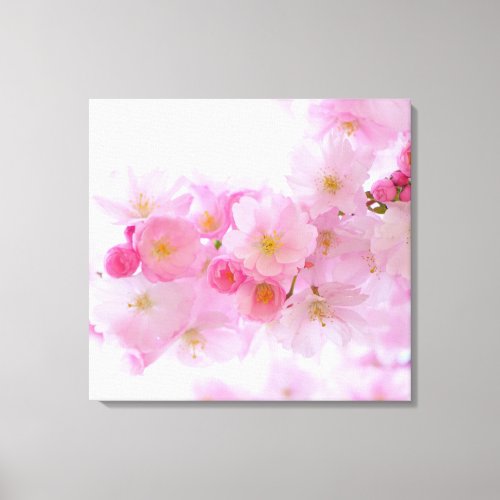 Japanese Cherry Tree Blossom Canvas Print