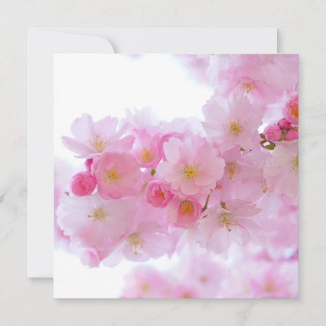 Japanese Cherry Tree Blossom Card (Front)