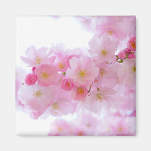 Japanese Cherry Tree Blossom Magnet