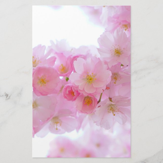 Japanese Cherry Tree Blossom Stationery (Front)