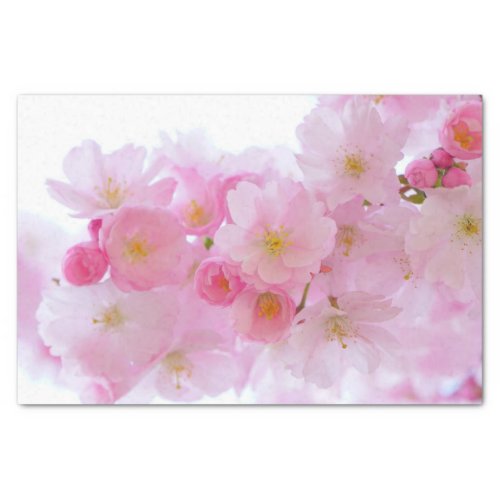 Japanese Cherry Tree Blossom Tissue Paper
