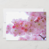 Japanese Cherry Tree Flower (Front)