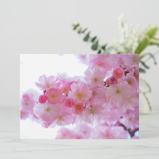 Japanese Cherry Tree Flower (Standing Front)