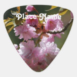 Japanese Cherry Tree Guitar Pick