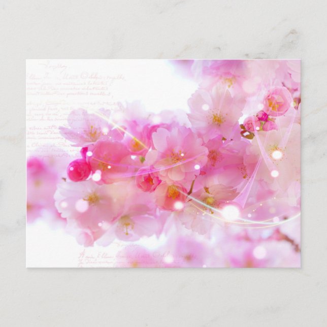Japanese Cherry Tree with Pastel Pink Blossoms Postcard (Front)