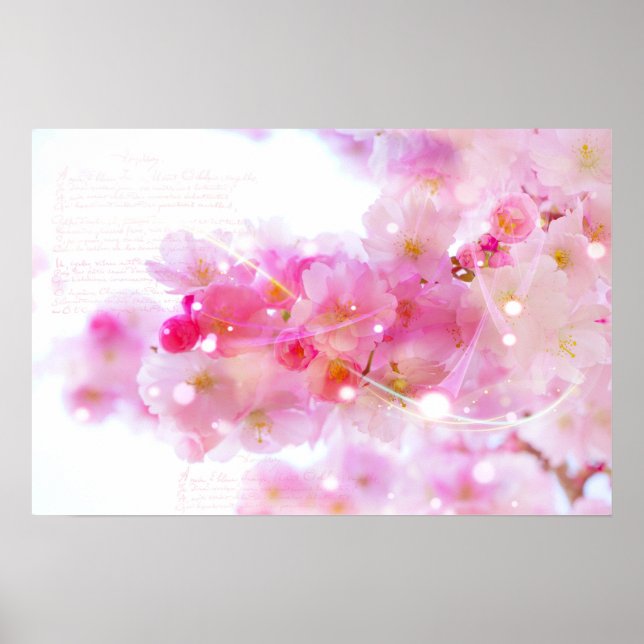 Japanese Cherry Tree with Pastel Pink Blossoms Poster (Front)