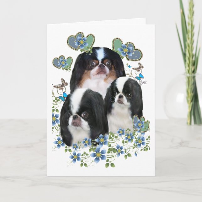 Japanese Chin All Occasion Greeting Cards and Art (Front)