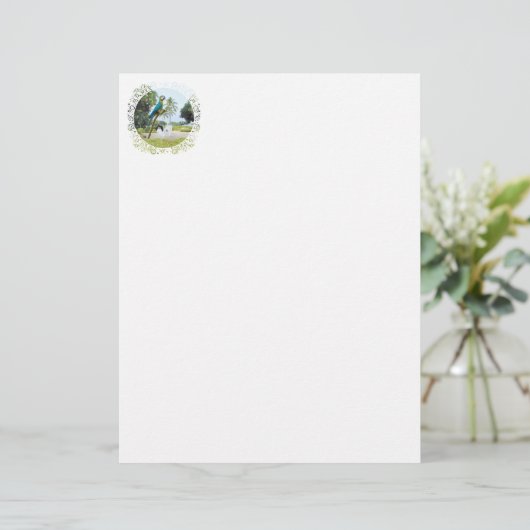 Japanese Chin and Macaw (Standing Front)