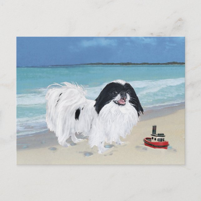 Japanese Chin at the Beach Postcard (Front)