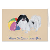 Japanese Chin Beach Ball (Front Horizontal)