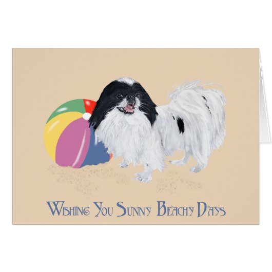 Japanese Chin Beach Ball (Front Horizontal)