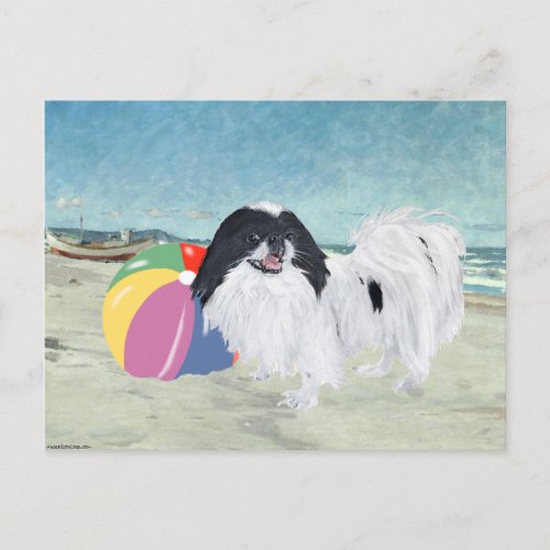 Japanese Chin Beach Ball Postcard