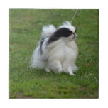 Japanese Chin Ceramic Tile