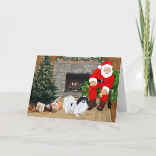 Japanese Chin Christmas Holiday Card