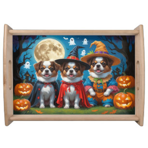 Japanese Chin Dogs Pumpkin Halloween Funny Serving Tray