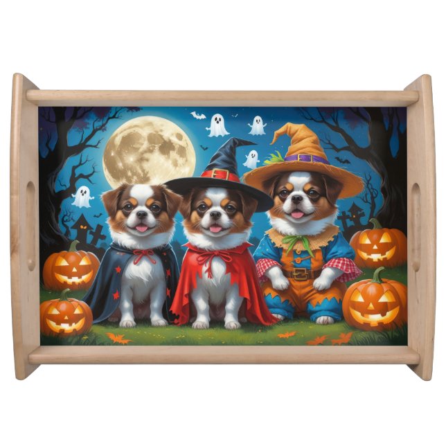 Japanese Chin Dogs Pumpkin Halloween Funny Serving Tray (Front)