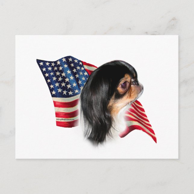 Japanese Chin Flag Postcard (Front)