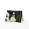 Japanese Chin Greeting Card