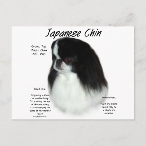 Japanese Chin History Design Postcard