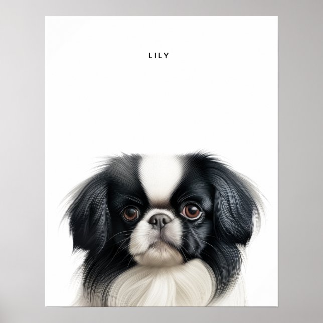 Japanese Chin Personalized Print (Front)