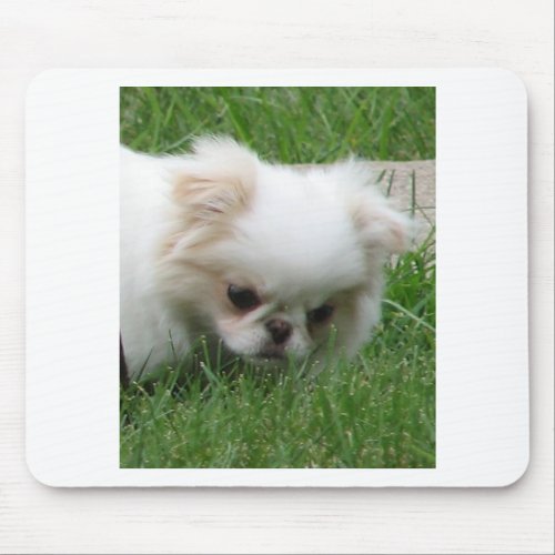 Japanese Chin Puppy 2png Mouse Pad