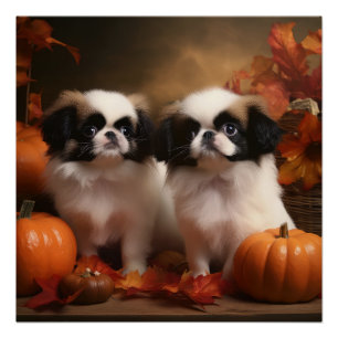 Japanese Chin Puppy Autumn Delight Pumpkin Poster